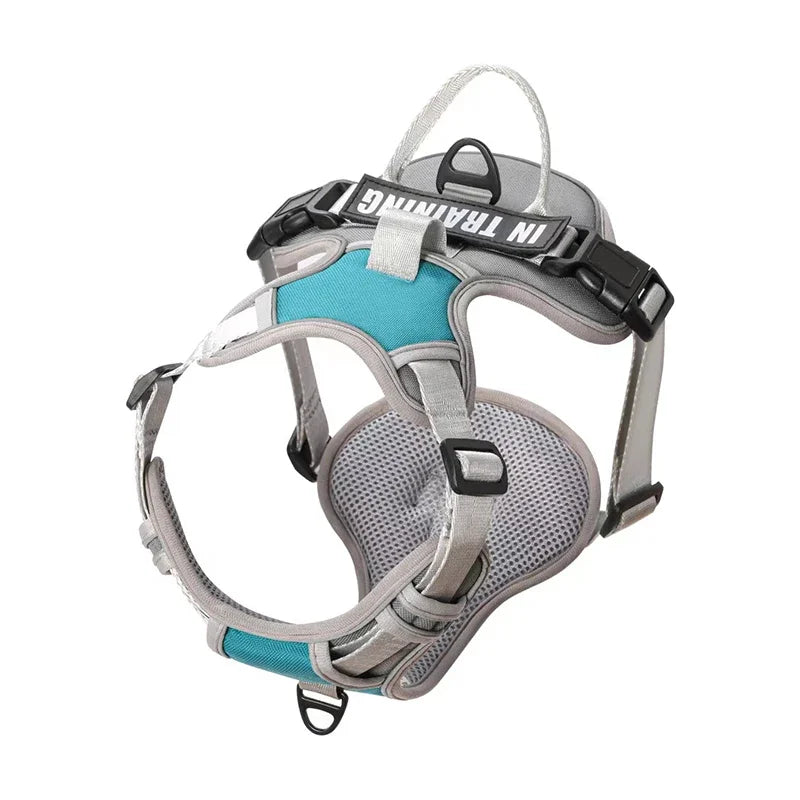 Weiches Nylon-Hundegeschirr, verstellbar