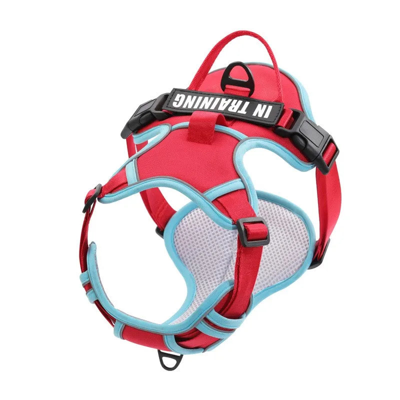 Weiches Nylon-Hundegeschirr, verstellbar