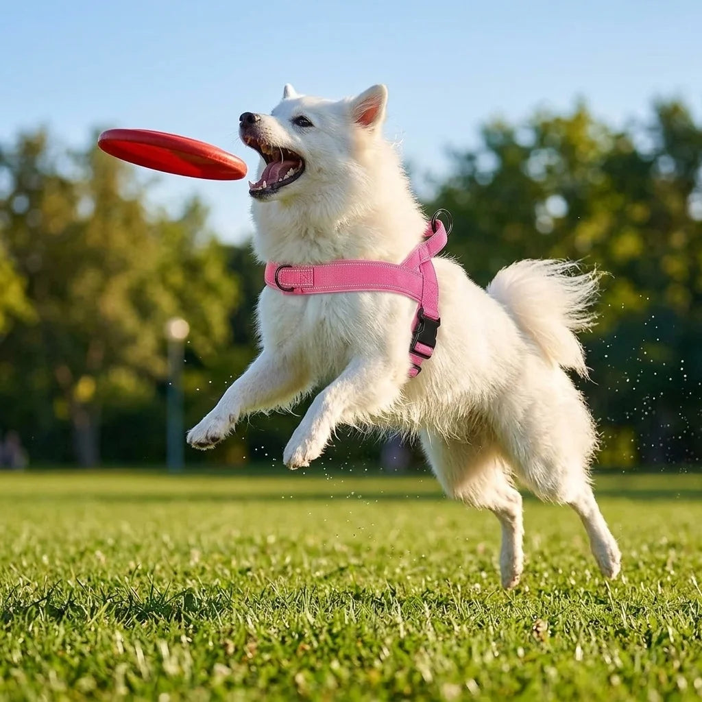 No-Pull Hundegeschirr mit Reflektorstreifen