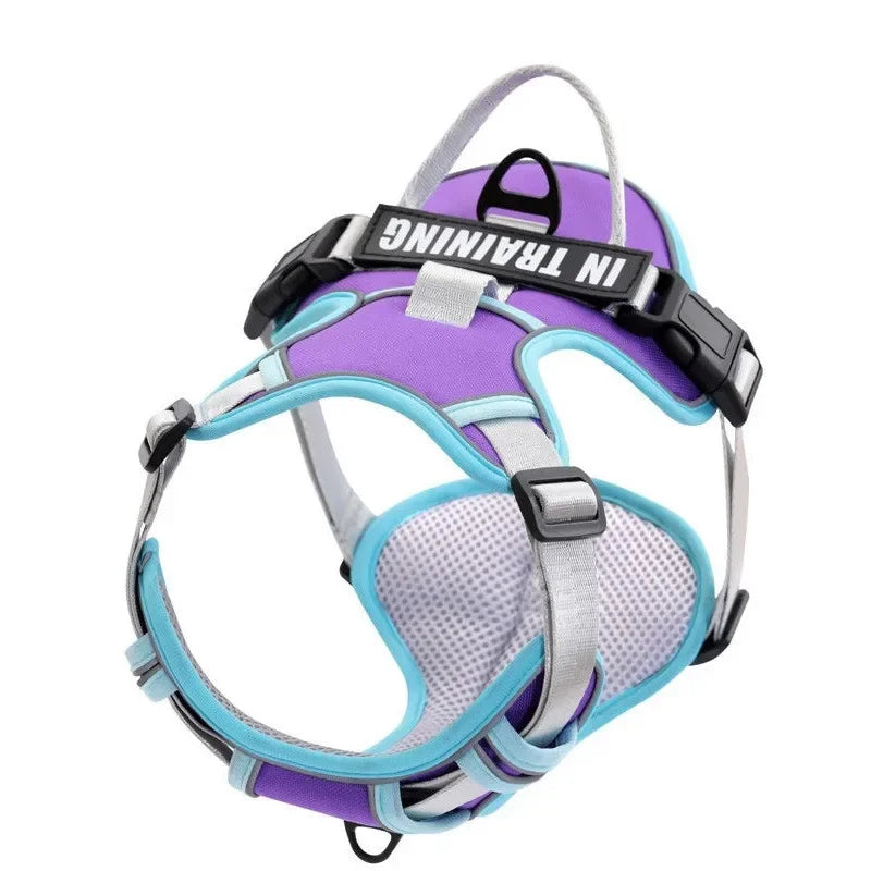 Weiches Nylon-Hundegeschirr, verstellbar