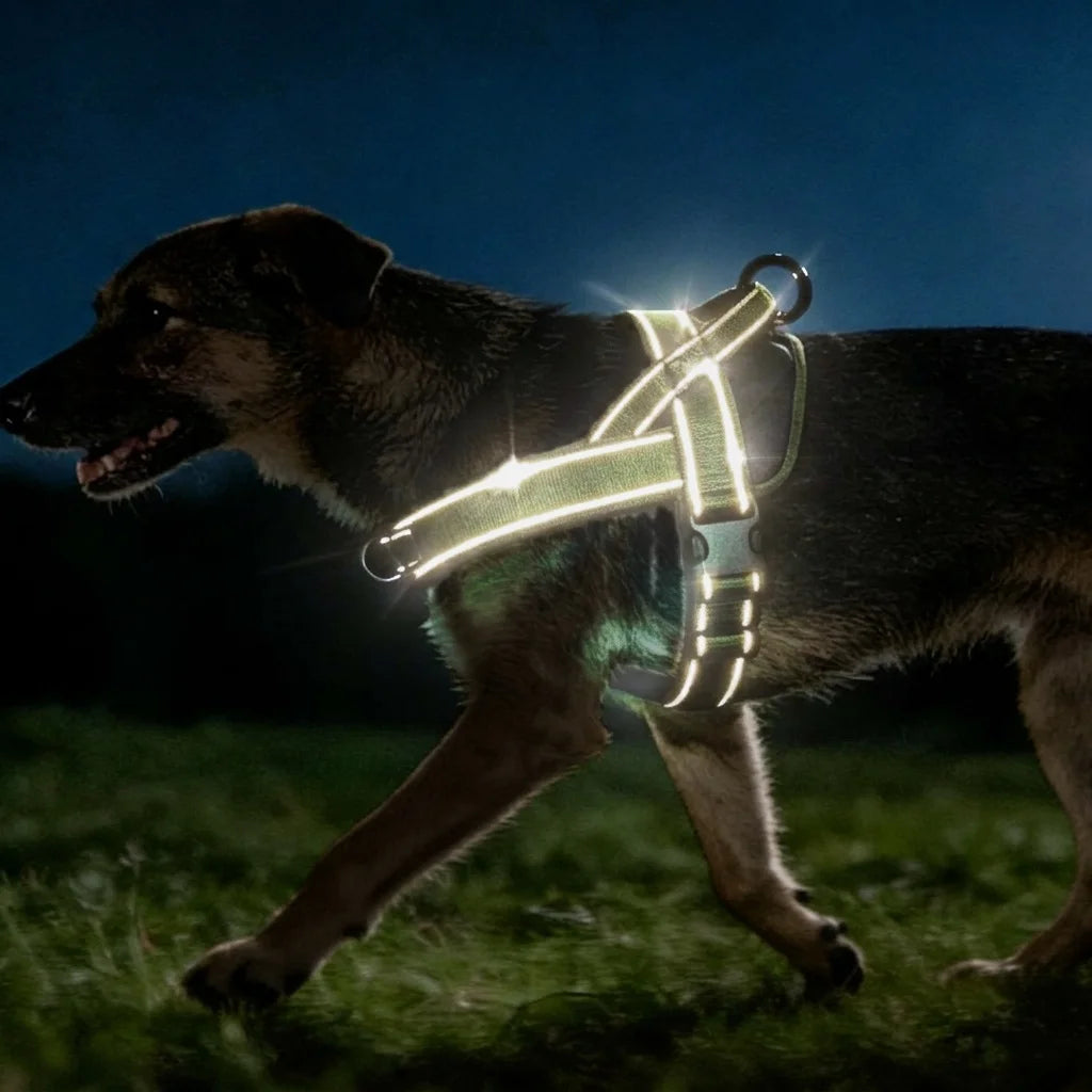 No-Pull Hundegeschirr mit Reflektorstreifen