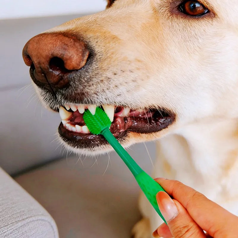 Zahnbürsten-Set für Hunde, 3-teilig