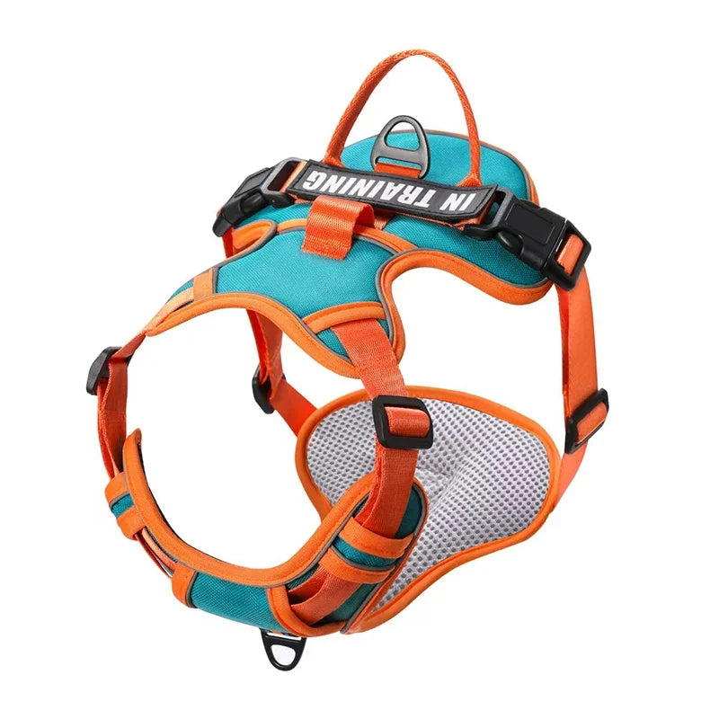 Weiches Nylon-Hundegeschirr, verstellbar