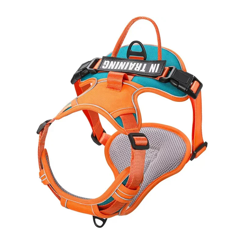 Weiches Nylon-Hundegeschirr, verstellbar