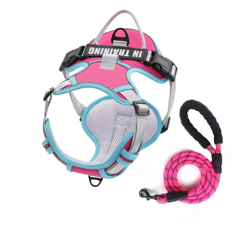 Weiches Nylon-Hundegeschirr, verstellbar