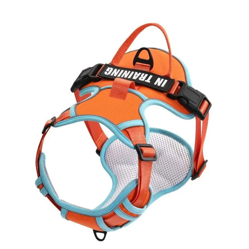 Weiches Nylon-Hundegeschirr, verstellbar