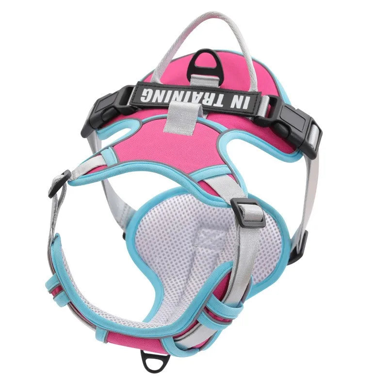 Weiches Nylon-Hundegeschirr, verstellbar