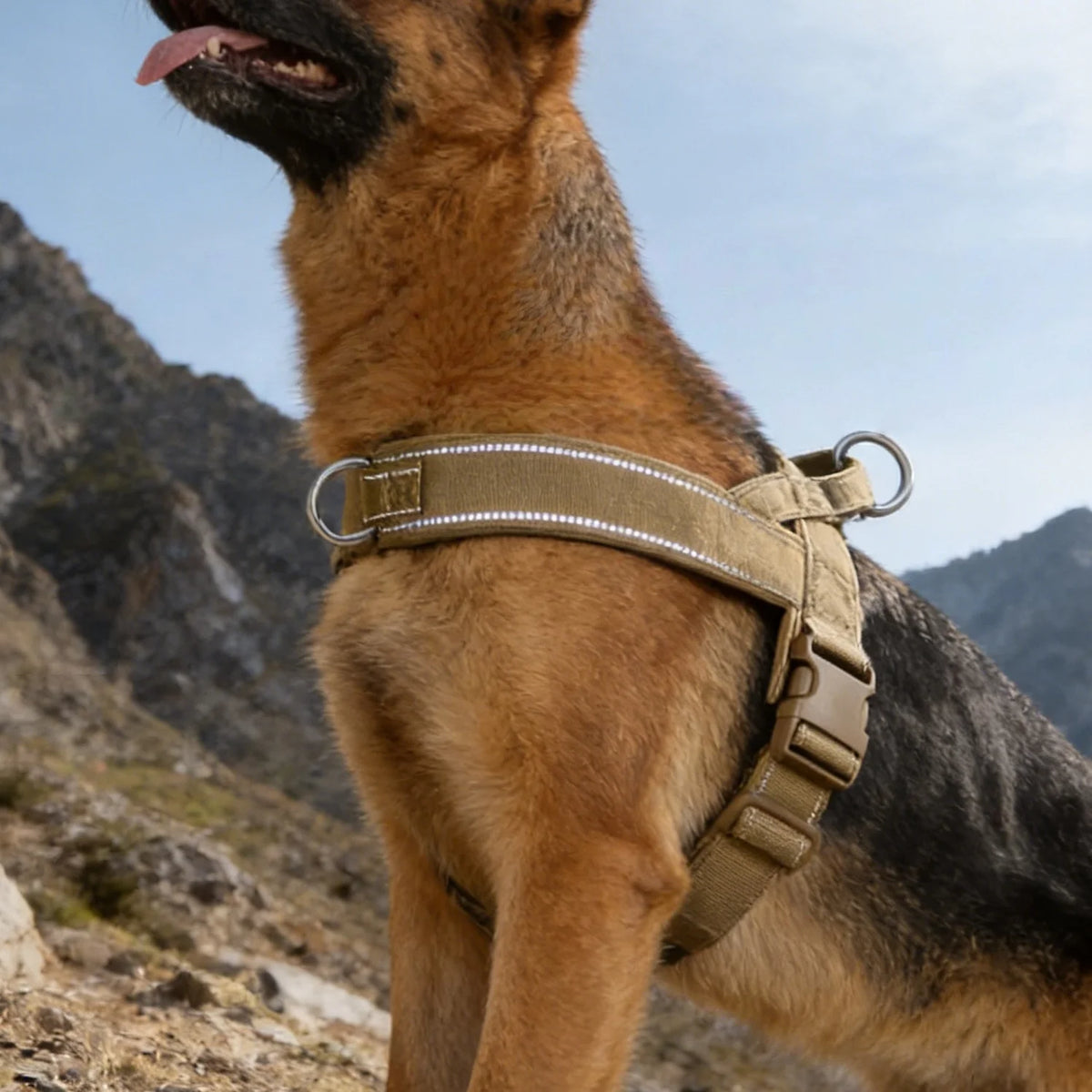 No-Pull Hundegeschirr mit Reflektorstreifen