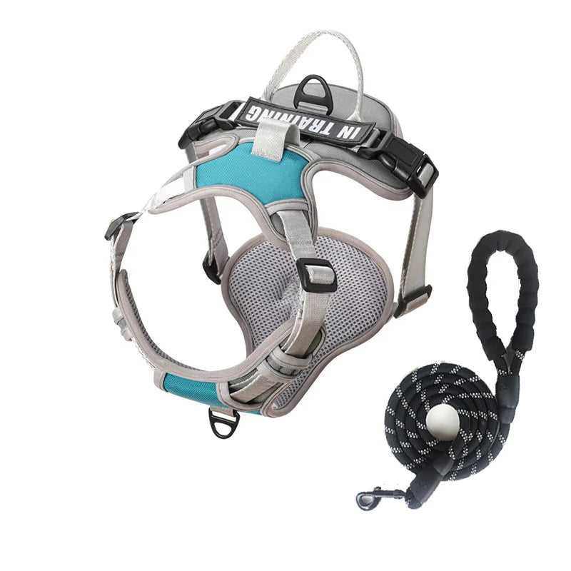 Weiches Nylon-Hundegeschirr, verstellbar